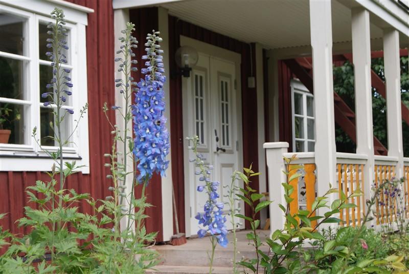Hallagardens B&B Vintrosa Eksteriør billede